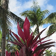 Picture 205